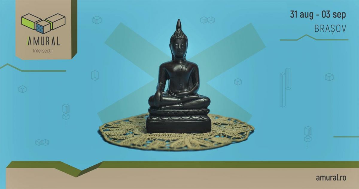 Amural 3 Festival Vizual Diverse evenimente Brasov