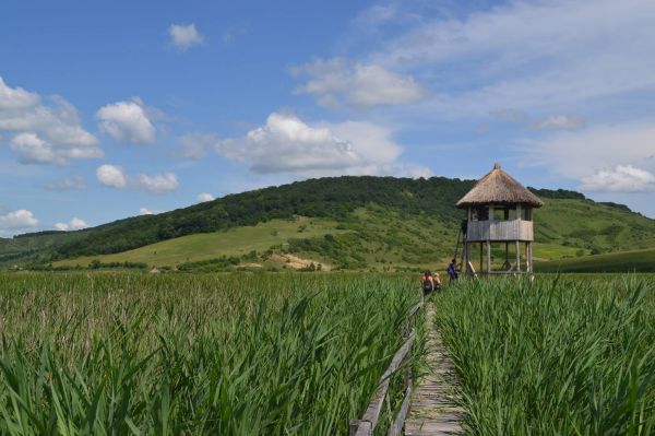 Hai la o slanina, cu bicicleta, la "Stufarisurile de la Sic"