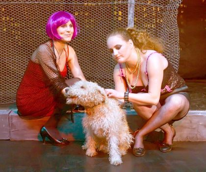 Spectacolul "OASE pentru OTTO"