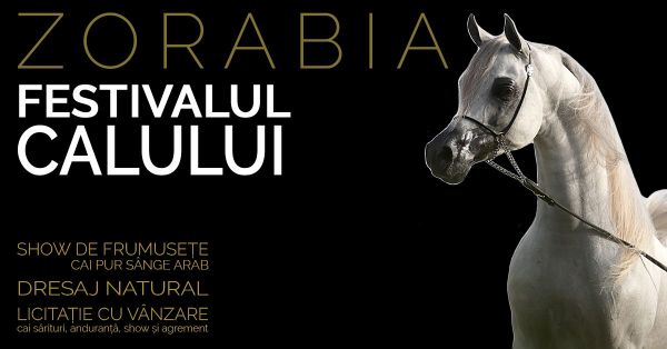 Festivalul calului "Zorabia"
