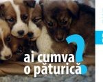 Campania “Ai cumva o păturică?”