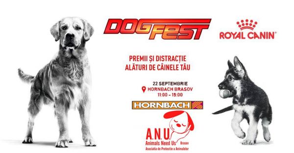 DogFest 2019