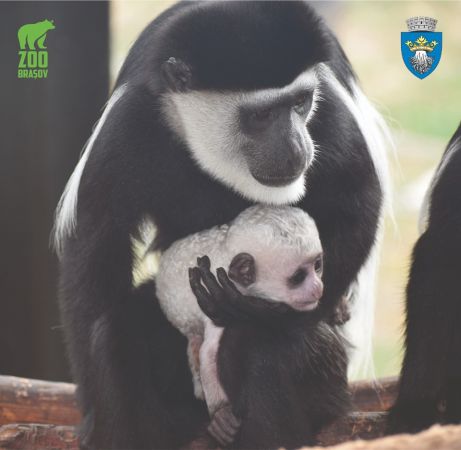 Ziua Mondiala a Animalelor