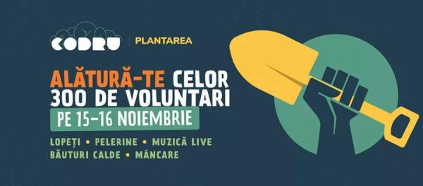 CODRU 2019 - Sesiune de plantare