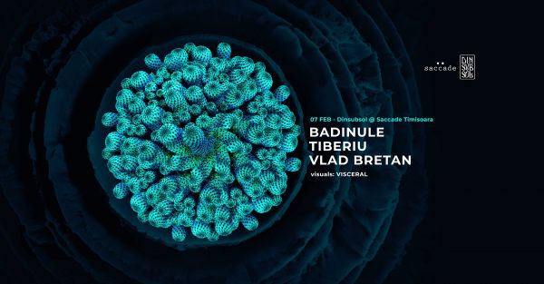 Dinsubsol - Badinule, Tiberiu, Vlad Bretan