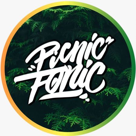 Picnic Fonic Festival 2020