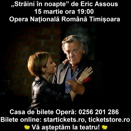 Spectacolul "Străini în noapte"