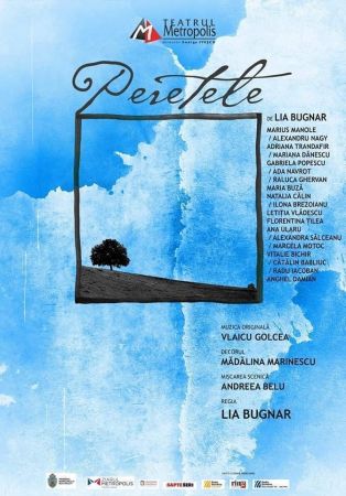 Spectacolul: "Peretele" de Lia Bugnar