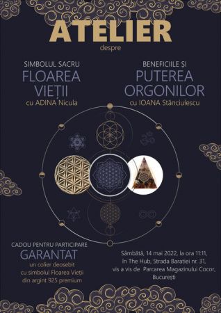 Atelier educativ despre floarea vietii