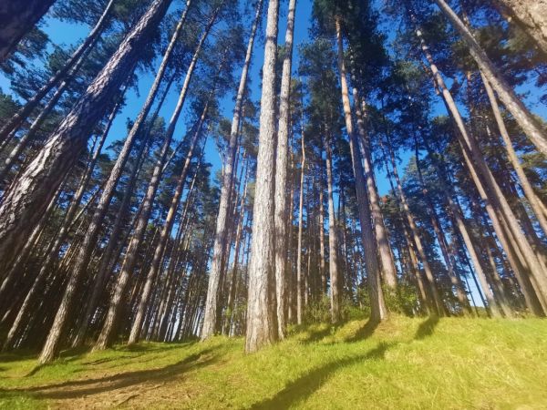 Oameni ca tine, hamace și vorbe