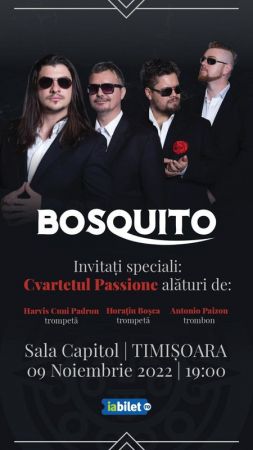 Concert Bosquito