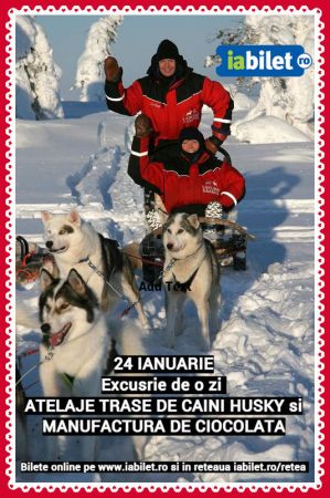 Excursie de o zi cu Atelaje trase de caini HUSKY si degustare de ciocolata artizanala