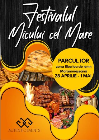 FESTIVALUL MICULUI CEL MARE