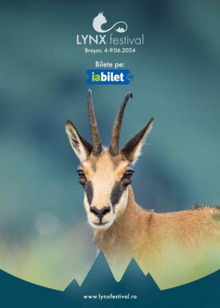 LYNX Festival
