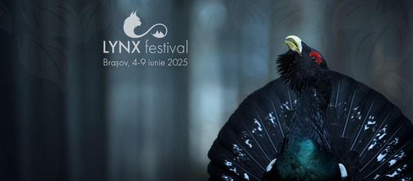 LYNX Festival