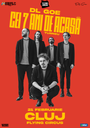 Dl Goe - Cei 7 ani de acasa