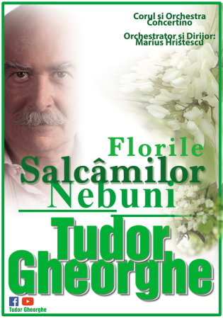 Tudor Gheorghe: Florile Salcâmilor Nebuni