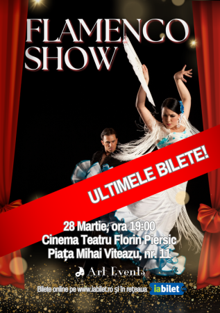 Flamenco Show