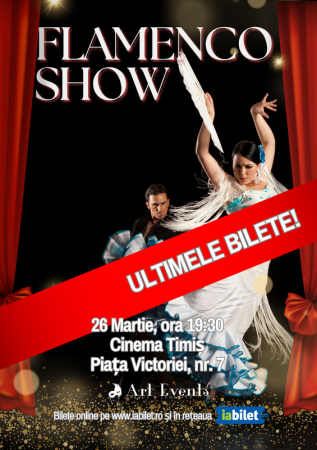 Flamenco Show
