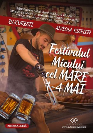 FESTIVALUL MICULUI CEL MARE
