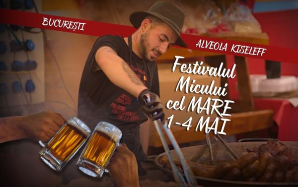 FESTIVALUL MICULUI CEL MARE