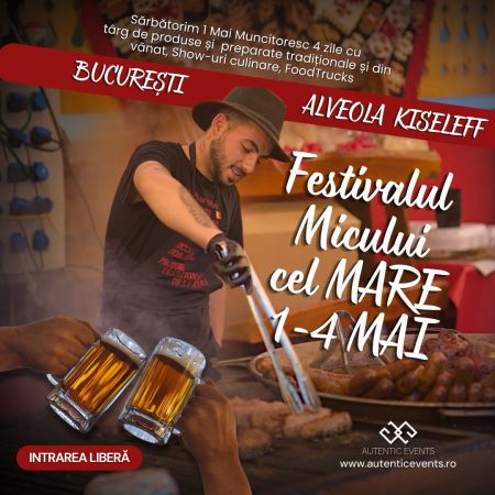 FESTIVALUL MICULUI CEL MARE