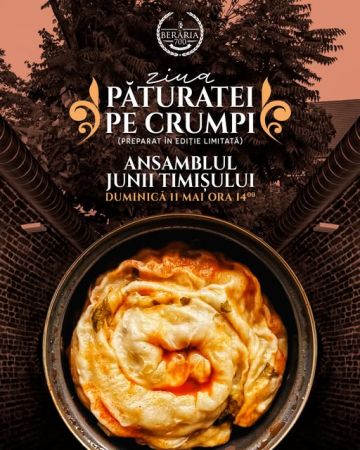 Ansamblul Junii Timișului