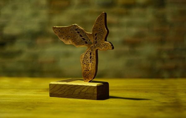 Competiția de scurtmetraje românești ESTE Film Festival 2025