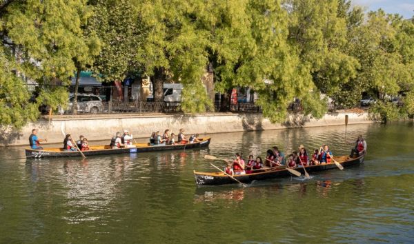Dâmbovița Delivery - Debarcader Timpuri Noi