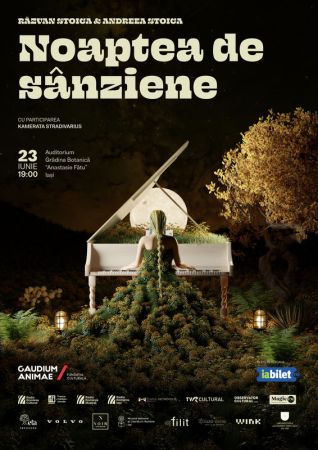 Noaptea de Sânziene