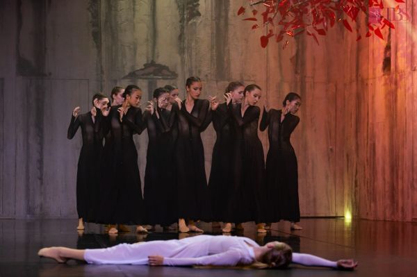 Pasărea de foc @ FITS 2025