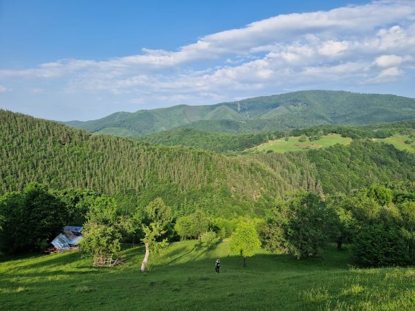 Drumetie pe Dealul Fusurel