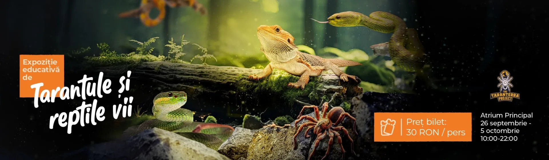 Expoziție șerpi și tarantule vii