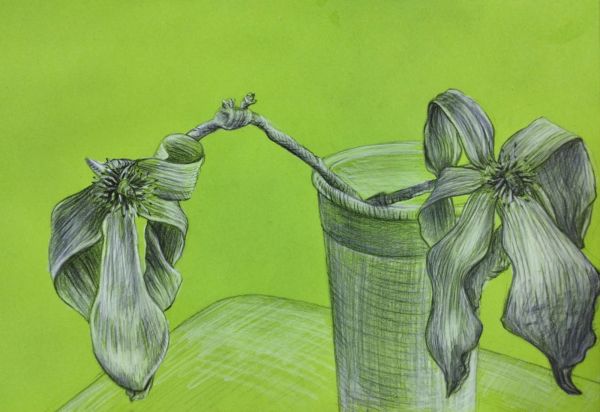 Young Blood. Noul val de artiști contemporani