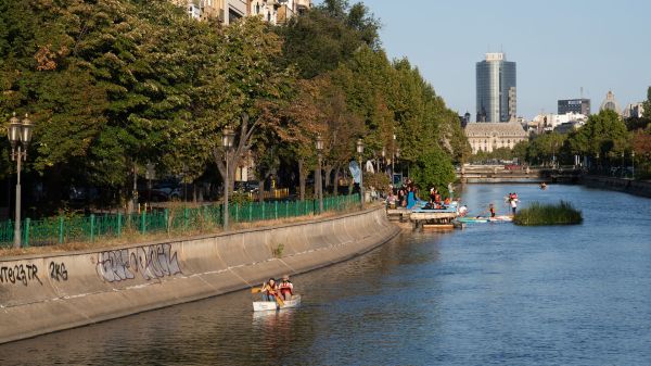 Dâmbovița Delivery – Operă
