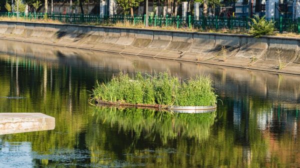 Dâmbovița Zero Plastic | Dâmbovița Apă Dulce(DAD)