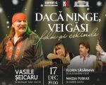 Dacă ninge, vei găsi - Vasile Șeicaru, Magda Puskas și Florin Săsărman