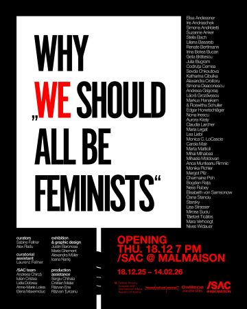 Why „We Should All Be Feminists”
