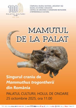 MAMUTUL DE LA PALAT. Singurul craniu de Mammuthus trogontherii din România