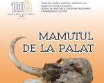 MAMUTUL DE LA PALAT. Singurul craniu de Mammuthus trogontherii din România