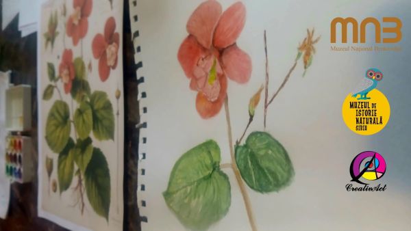 Atelier de ilustrație botanică