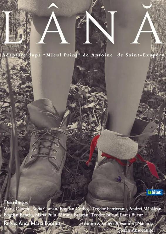 Spectacolul "Lână" adaptare după Micul Prinț de Antoine de Saint-Exupéry
