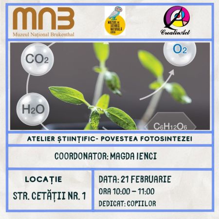 Atelier Științific - Povestea Fotosintezei