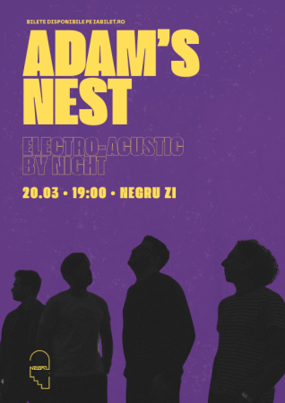 Adam's Nest electro-acustic by night