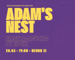 Adam's Nest electro-acustic by night