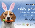 EGGSTRAVAGANZA- Egg Hunt - La Cafea cu Blănosul