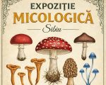 EXPOZIȚIE MICOLOGICĂ