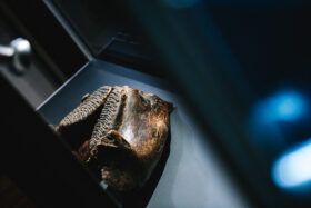 Comori nespuse. Istoria Transilvaniei prin obiecte