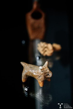 Comori nespuse. Istoria Transilvaniei prin obiecte