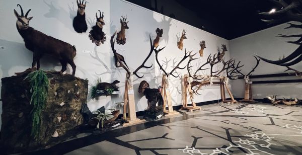 Expoziția de trofee „H Hunting Prize”